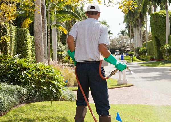 About Cleghorn IA Pest Control
